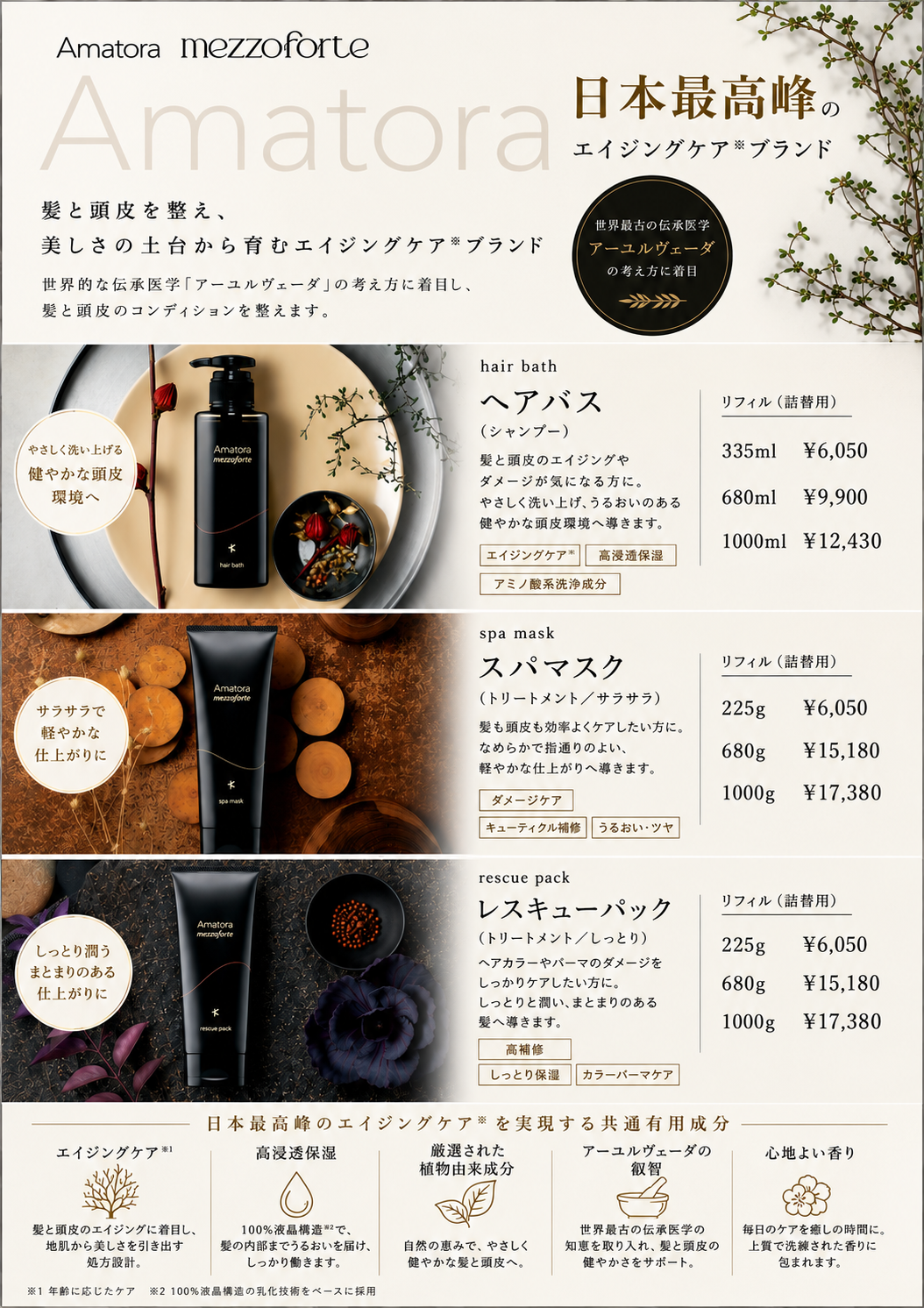 本店メゾ.png