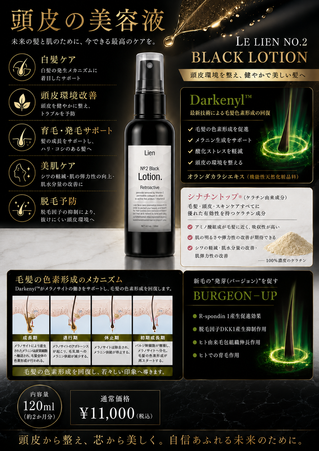 本店BL.png