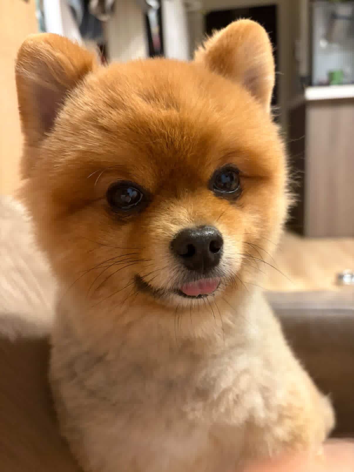 https://www.addict-hair.jp/cmb2/1d1e6d6cb060bf967ebeac838ed15034576b7c5f.jpeg