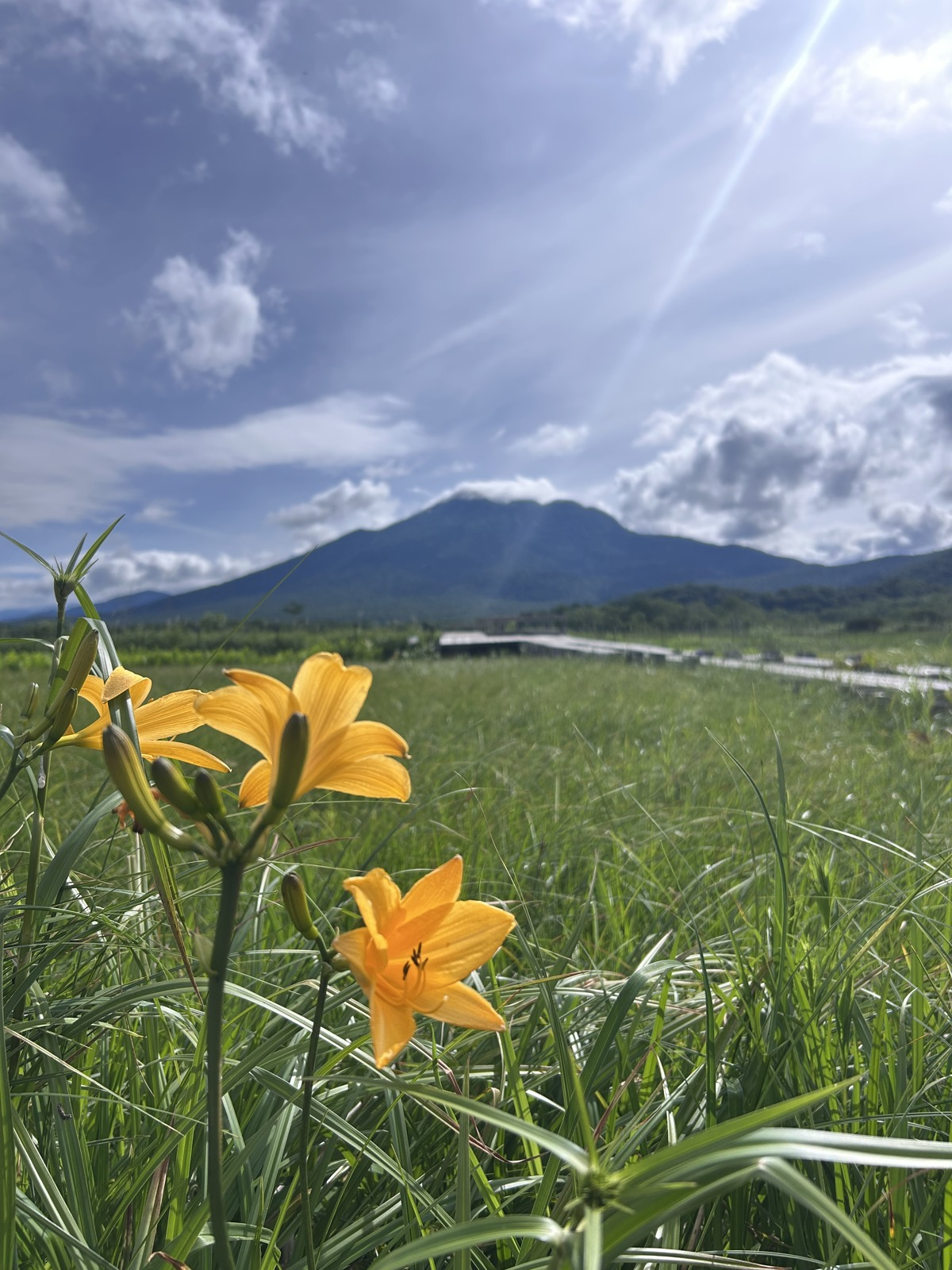 尾瀬ヶ原で夏の大自然を満喫してきました
