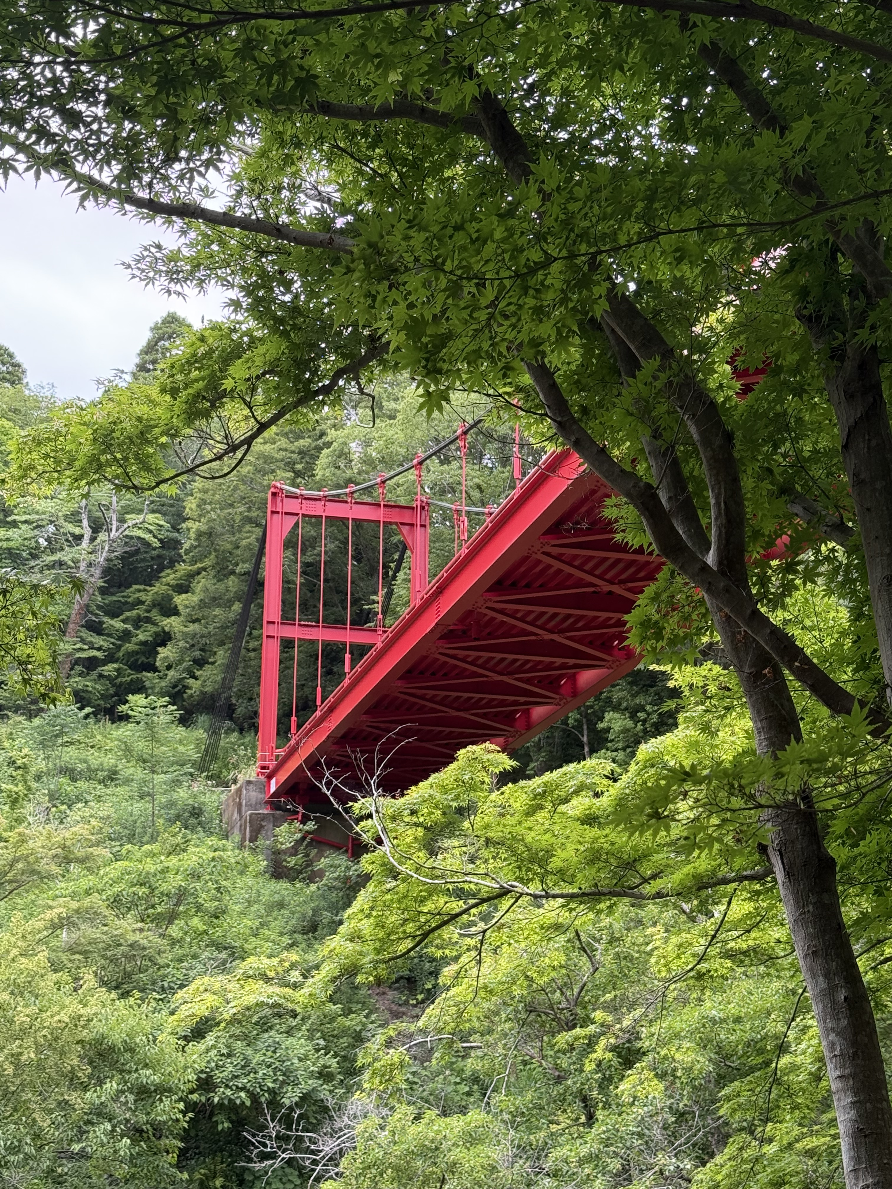 公園