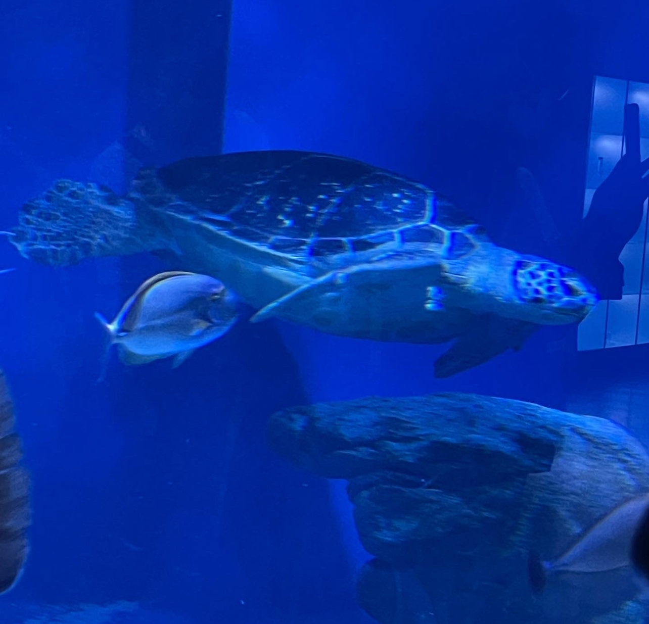 水族館