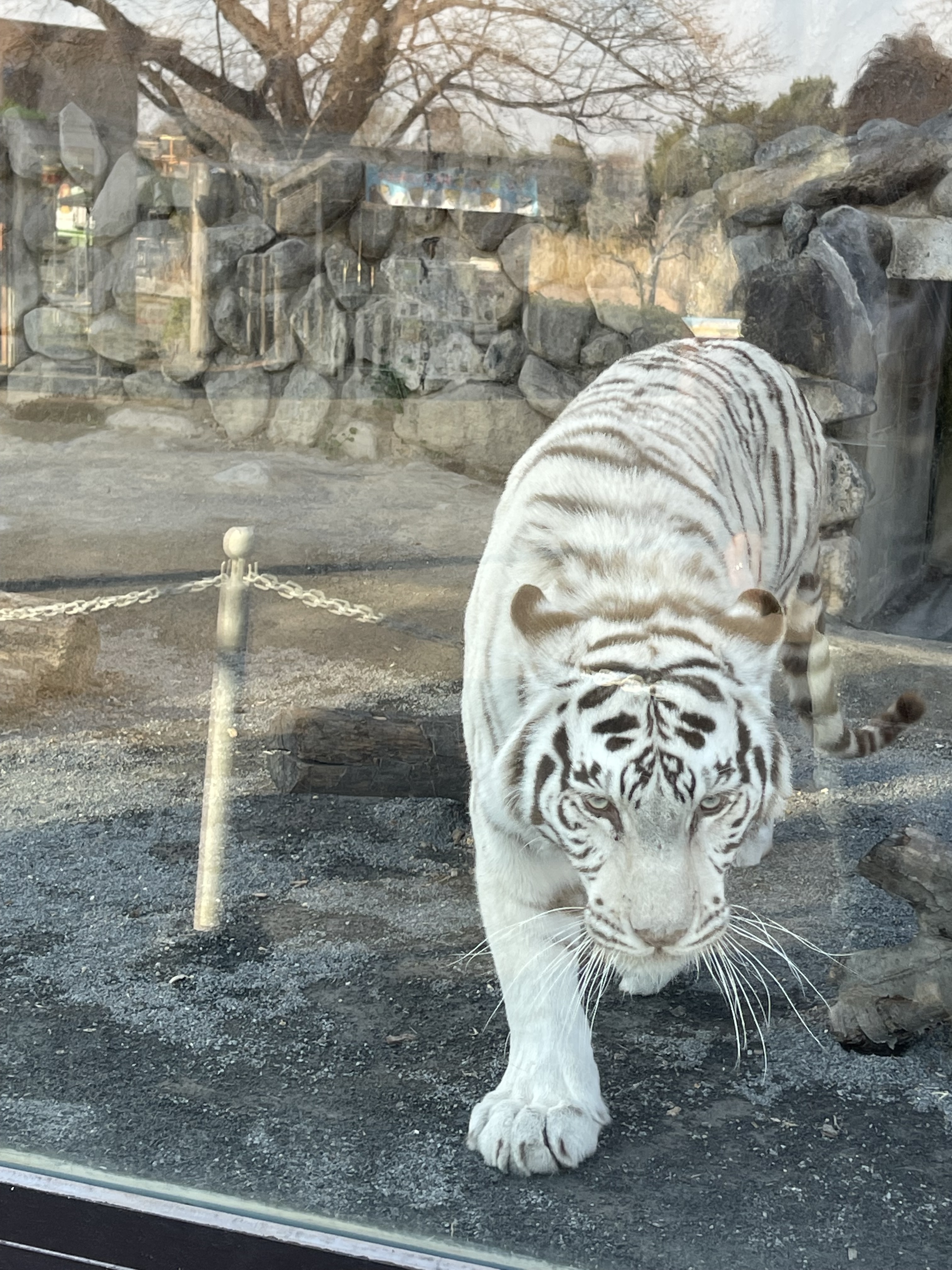 東武動物園