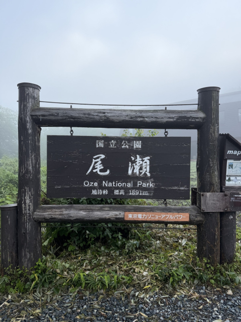 n89.jpg