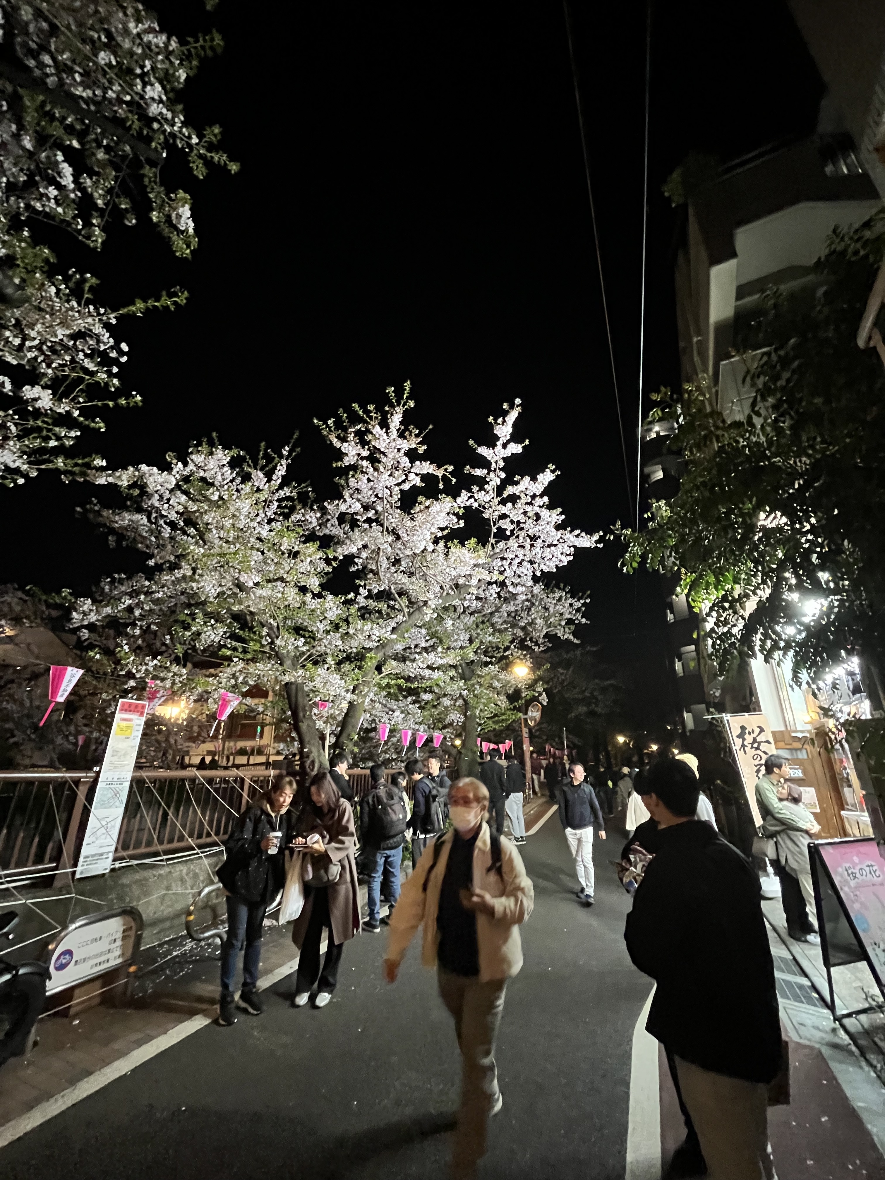 目黒桜まつり