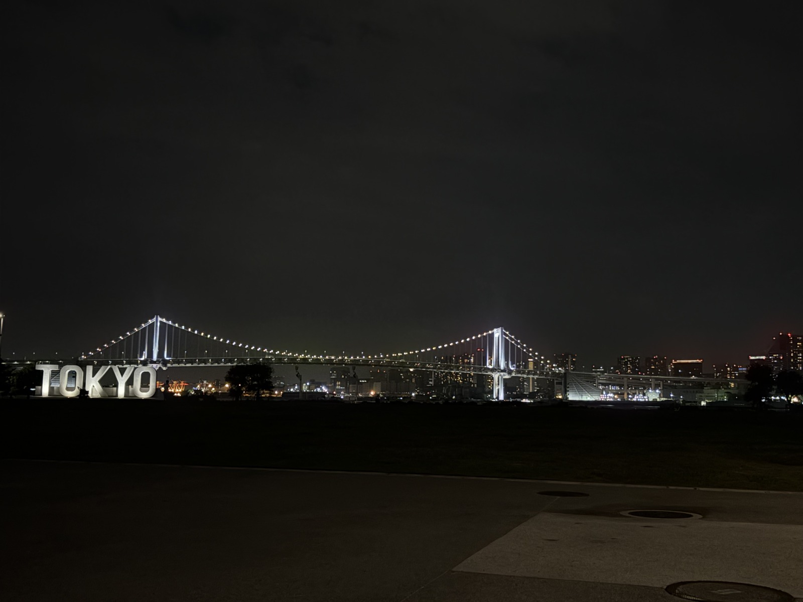 豊洲へ夜のドライブに行きました