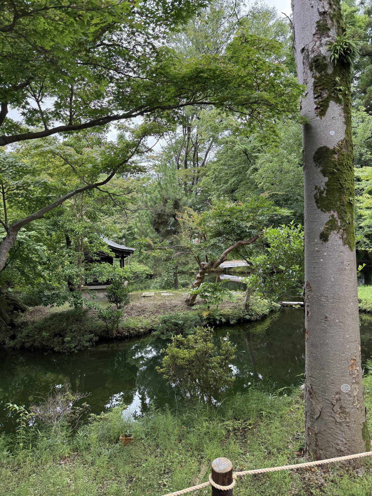 深大寺で緑に癒されました