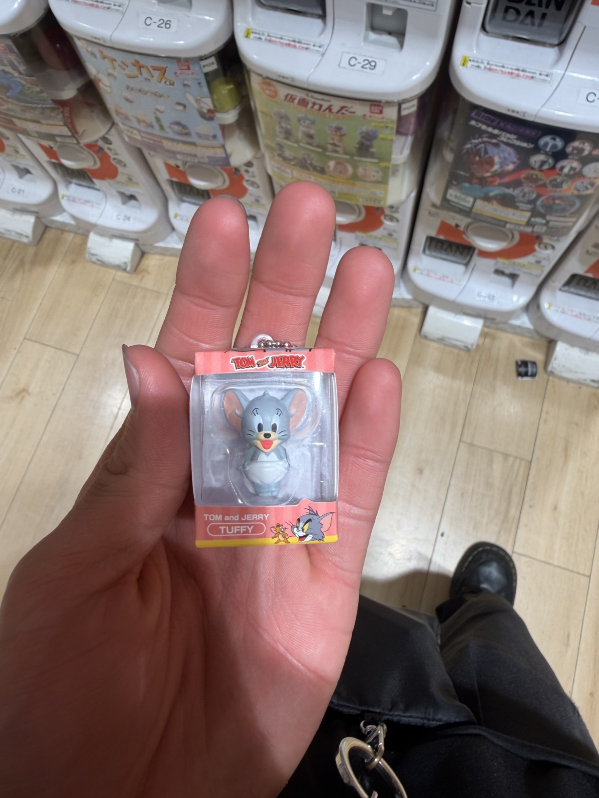 ガチャでタフィーが当たりました