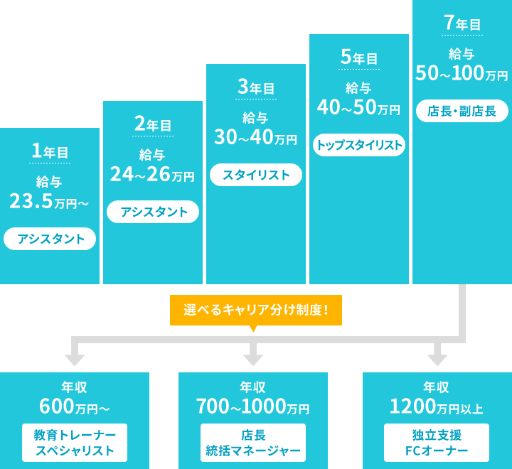 選べるキャリア分け制度！